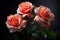 Enigmatic Dramatic rose flowers. Generate Ai