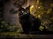 Enigmatic Elegance: Cat\\\'s Graceful Vigil in the Moonlit Garden