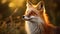 The Enigmatic Fox A Captivating Portrait In Soft Light