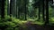 Enigmatic Journey: A Dark Symbolism Through Lush Forests