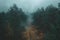Enigmatic Mist-Shrouded Forest Path. Concept Mystical Forest, Foggy Trail, Enchanting Wilderness,