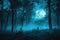The Enigmatic Moonlit Forest