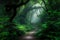 Enigmatic Pathway: A Mystical Journey into the Infinite Rainforest