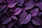 Enigmatic Purple flowers closeup dramatic. Generate Ai