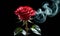 Enigmatic Red Rose with Swirling Smoke