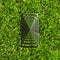 Enigmatic surrealistic optical illusion. Close-up of smartphone on green grass.