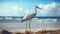 Enigmatic Tropics: A Graceful Stork On A Sandy Beach