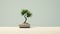 Enigmatic Tropics Small Bonsai Tree On Blue Surface