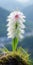 Enigmatic Tropics: White Feathery Flower In Yuki Katsura Style