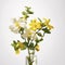 Enigmatic Tropics: White And Yellow Flower Arrangement In Clear Glass Vase