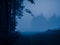 Enigmatic Whispers: Moody Summer Forest Scenery Shrouded in Fog