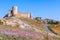 Enisala fortress, Dobrogea, Romania.