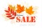 Enjoy Autumn Sales banner with autumn leaves.