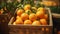 Enjoy the freshness of juicy tangerines in a vintage basket