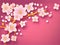 Enjoy the Season with a Beautiful Arrangement of Cherry blossoms branch on Pink Background.