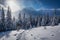 Enjoy your winter journey in Tatras Mountains