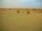 Enjoying camel safari in indian desert