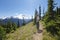 Enjoying the scenic view. Hiking trail. Mt Rainer, Washington