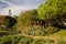 Enjoying in tropical exotic park with cactus aloe vera and trees in blue sky