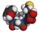 Enkephalin (Met-enkephalin) molecule