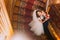 Enloved groom kissing his charming bride on old wooden stairs with the background of luxury interior