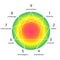 Enneagram of personality