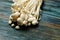 Enoki, Enokitake, Flammulina velutipes, edible mushroom popular in Japanese cuisine