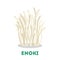 Enoki mushroom. Healthy organic fungus, natural ingredient