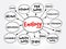 Enology mind map, concept for presentations and reports