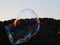 Enormous bubble reflecting a rainbow of colors, contrasted by the dark forest behind it and about to burst ....