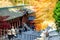 Enryaku-ji is a Tendai monastery located on Mount Hiei in Otsu,