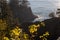 Ensenada at sunset with the tiny figure of a person on the crest of the rock in the southern coast of Oregon, USA