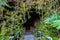 Entance Into The Thurston Lava Tube, Volcanoes National Park, Hawaii