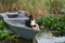 An enthralling Entlebucher Mountain Dog enjoys a serene moment aboard a boat