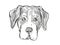 Entlebucher Mountain Dog Dog Breed Cartoon Retro Drawing