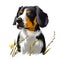 Entlebucher Mountain Dog, Entlebucher Sennenhund dog digital art illustration isolated on white background. Switzerland origin