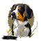 Entlebucher Mountain Dog, Entlebucher Sennenhund dog digital art illustration isolated on white background. Switzerland origin