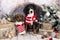 entlebucher sennenhund and dachshund sitting in room decorated for Christma