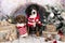entlebucher sennenhund and dachshund sitting in; in room decorated for Christmas