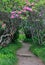 Entrance Craggy Garden Pinnacle Trail North Carolina