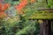 Entrance of Daihikaku Senkoji temple in beautiful autumn leaves at Arashiyama in Kyoto, japan