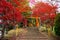entrance gate of Chureito pagoda with autumn leaf
