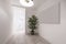 Entrance hall of a house with a long distributor hall with a light wooden floor,