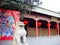 Entrance of Kinko Palace, Remains of Tang dynasty in Xian, China
