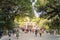 Entrance of Meiji shrine famous attraction located in Shibuya
