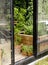 Entrance of modern greenhouse. Various potted plants growing.