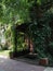 The entrance overgrown with climbing plants