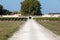 Entrance road to Chateau Rauzan - Segla in Margaux, known for producing excellent wines. Bordeaux region,