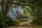 Entrance rosedown plantation, louisiana