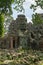 Entrance of ruined temple framed by trees